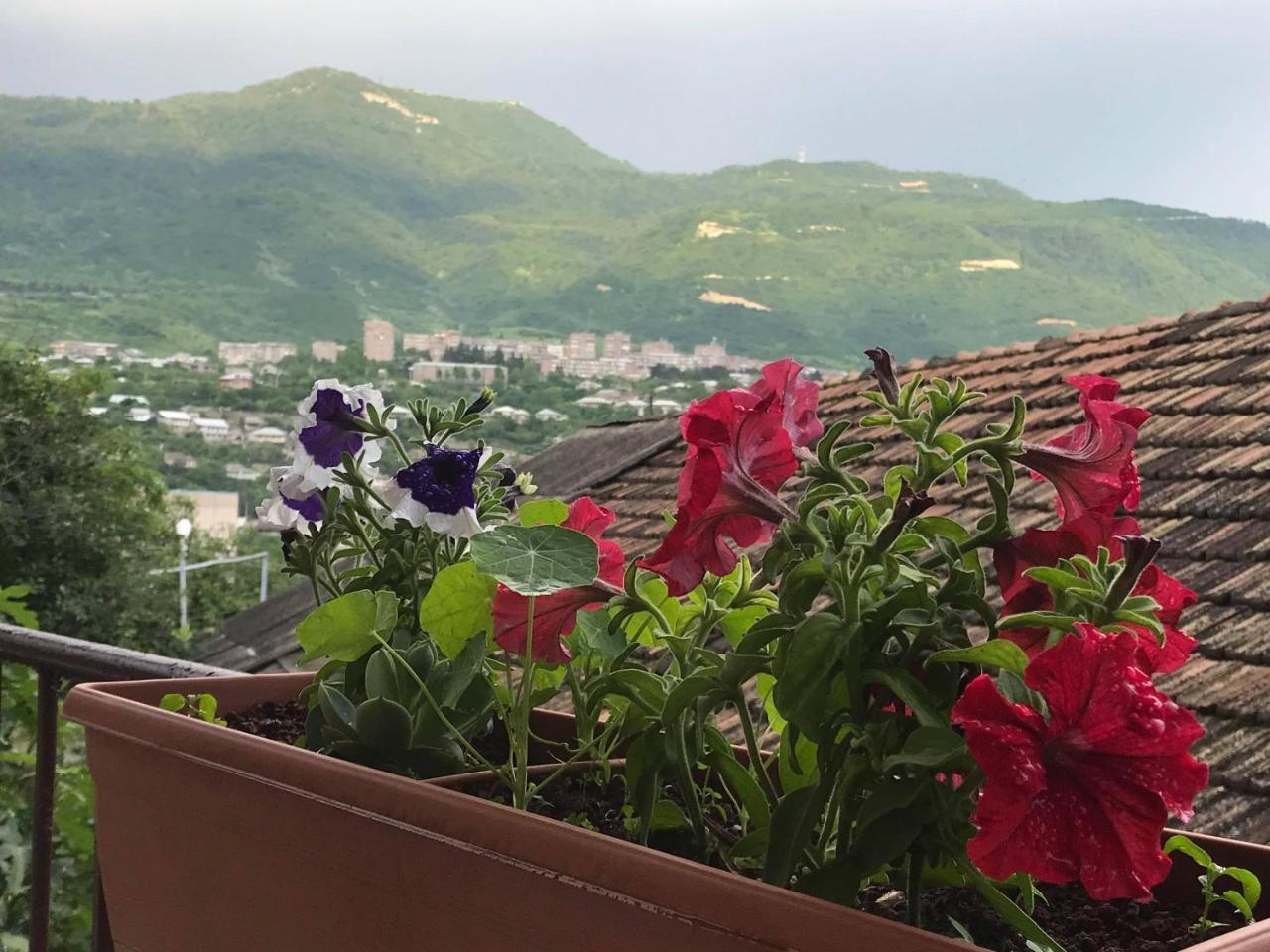 Guest House Anahit Ijevan Ngoại thất bức ảnh